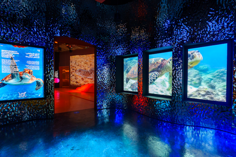 LifeHub explores hi-tech ways to protect vulnerable ecosystems.