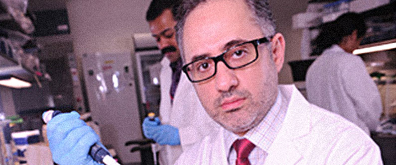 Dr. Hani Najafi said the research could potentially lead to new therapies for high cholesterol.