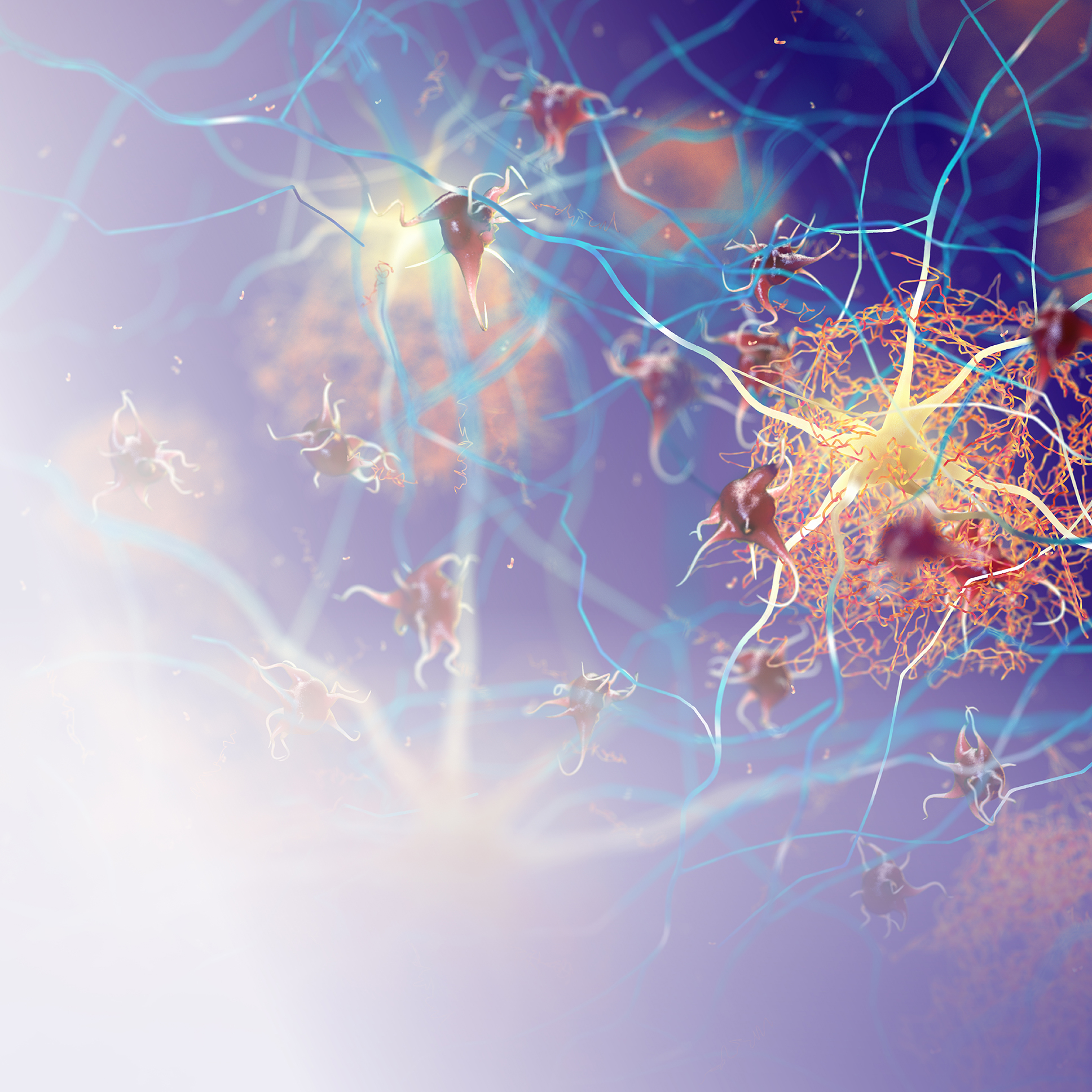 Protein Misfolding Diseases and Neurodegeneration: From Experimental Approach to Clinical Therapy Series