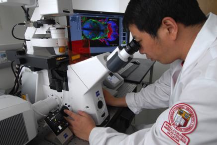 WCMC-Q Research Laboratories