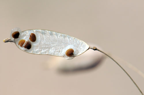 Renee Richer's winning picture