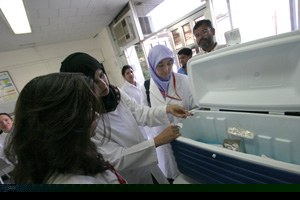A team of doctors, nurses and student volunteers, including WCMC-Q student Mahfam Shafaee (front), collect the oral polio vaccine from a cooler where it is kept at the correct temperature.