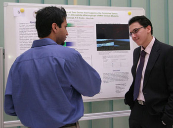 Anas Ahmed (right) explains to a guest that his research could be used to develop new treatments for patients with neurodegenerative diseases.