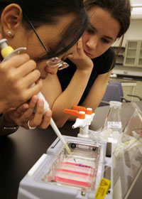 Hands on: ASD students work in the WCMC-Q biology lab.