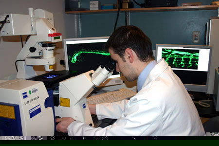 Careful analysis of results is key: Here, I'm using confocal microscopy...