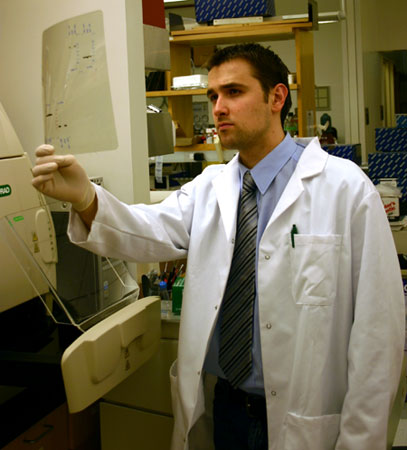 and here, interpreting the results of the western blot