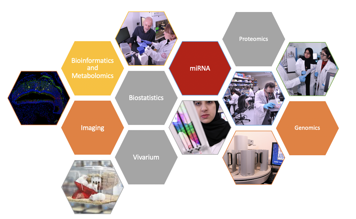 Screen Shot 2021-04-05 at 11.31.40 AM