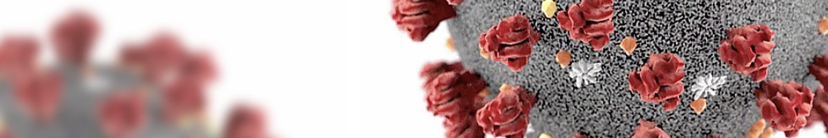 header-image-3-covid19637207267560524369